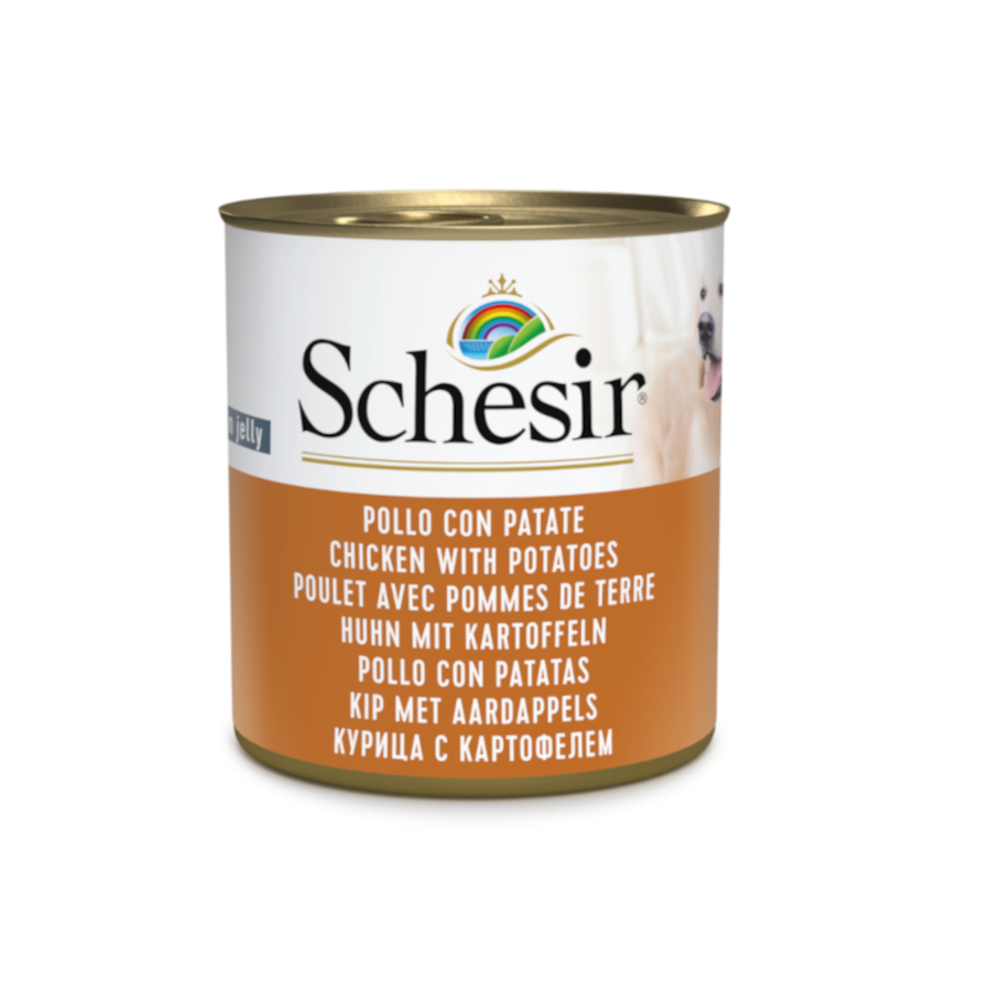 Lata de 285g Schesir Adult com frango e batatas para cães.