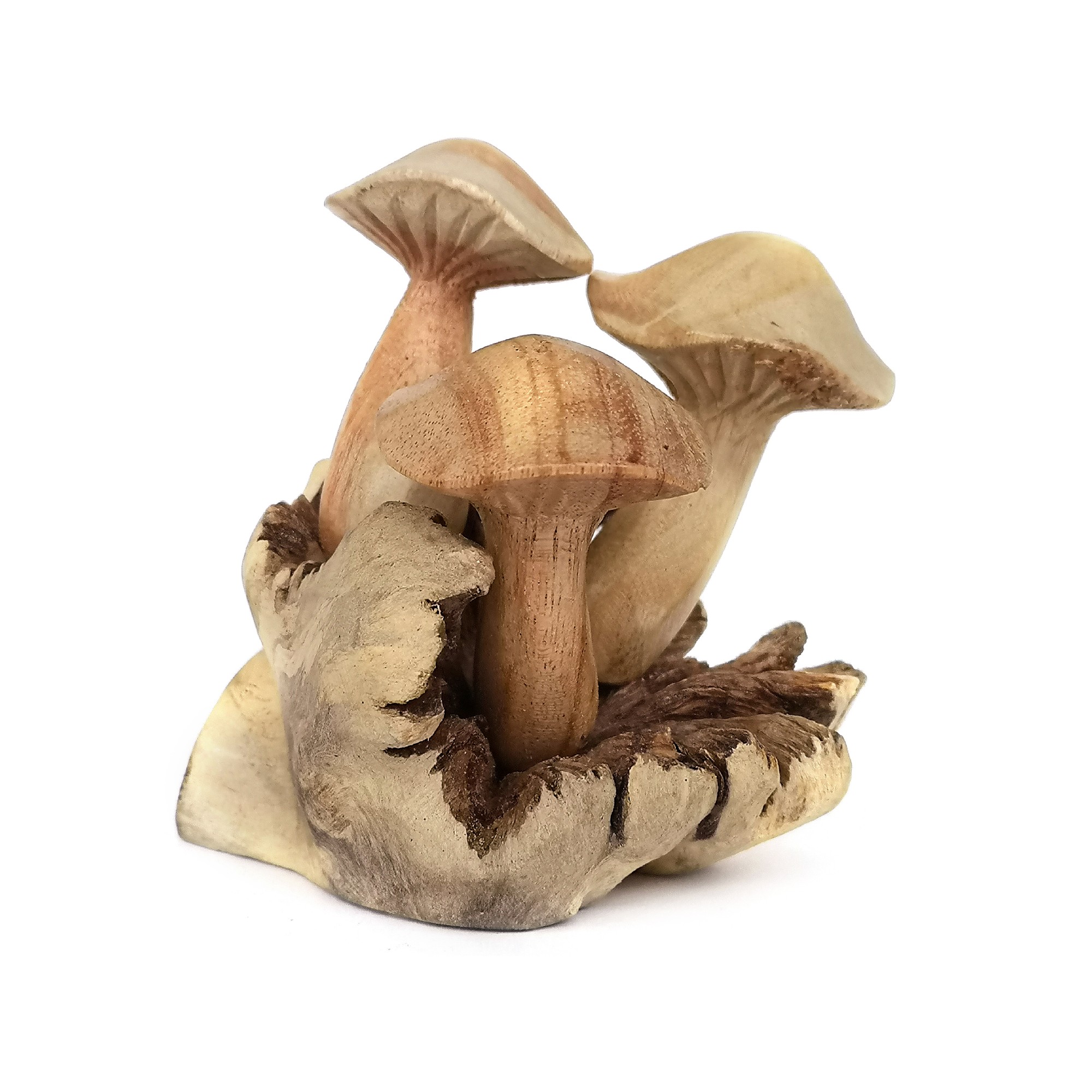 Figur 'Steinpilz' aus Holz, Ø 9 cm, H 10 cm von fischer's lagerhaus