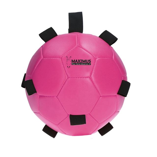 Speelbal Maximus Fun Play Ball Roze