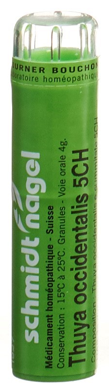 SCHMIDT-NAGEL Thuya occidentalis 5 CH<br>4 g, Granulat