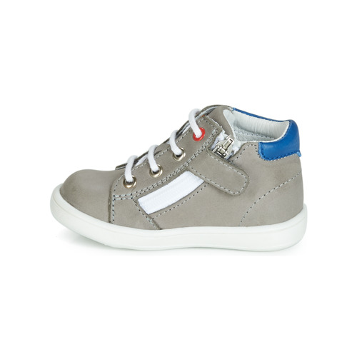 GBB - FOLLIO - Gris / Bleu