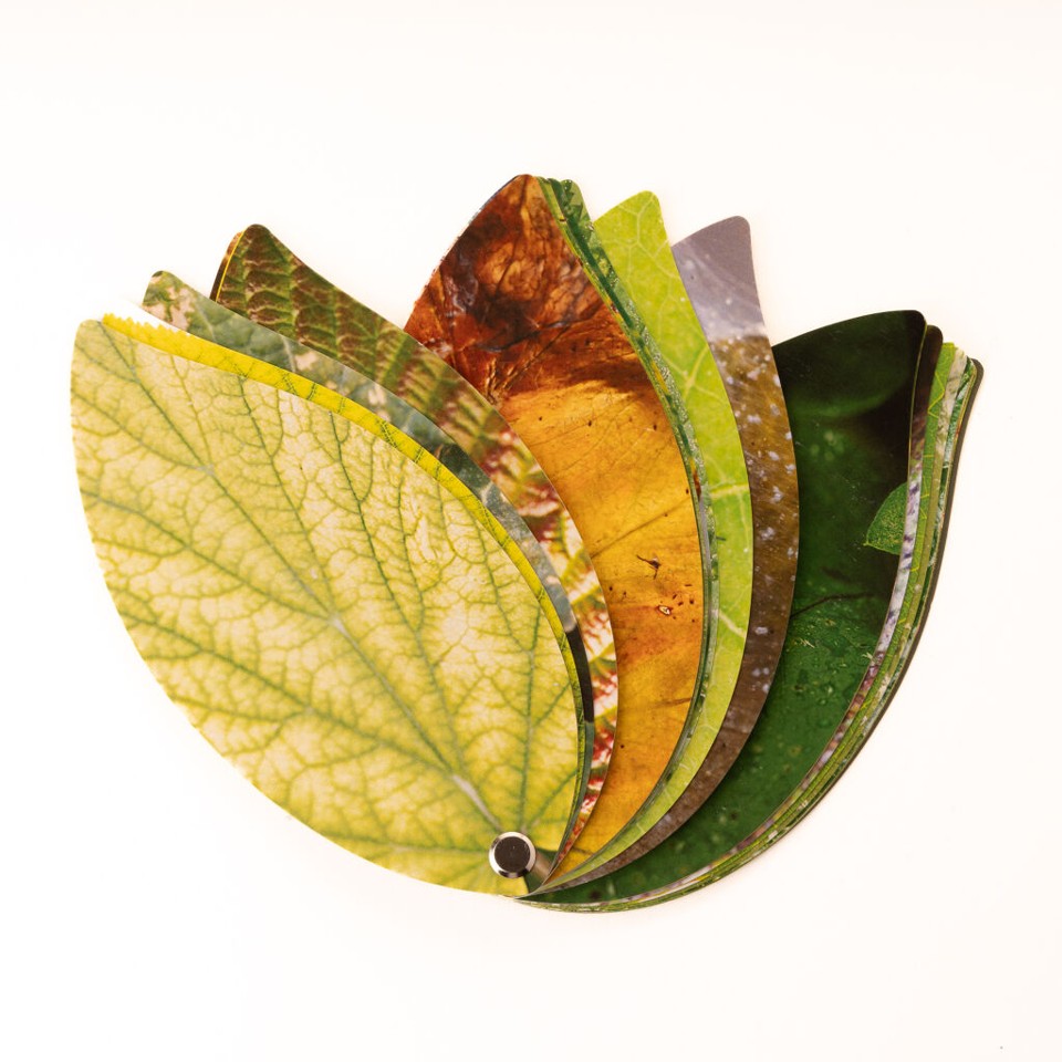 Healthy Plant Book