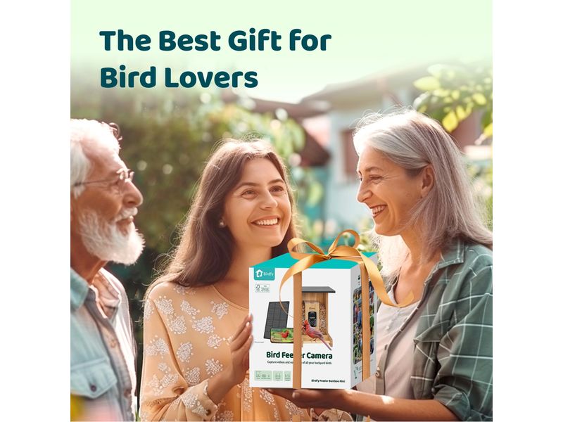 Birdfy Futterspender FSC Bambus Mini Solar Vogelfutterspender mit Kamera und Lifetime AI