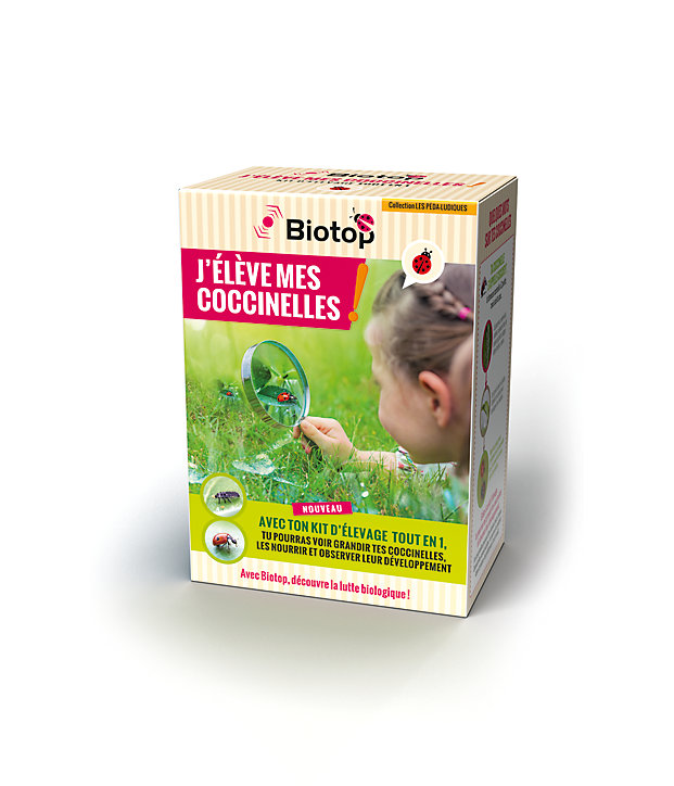 Kit pédagogique d'élevage de coccinelles Biotop
