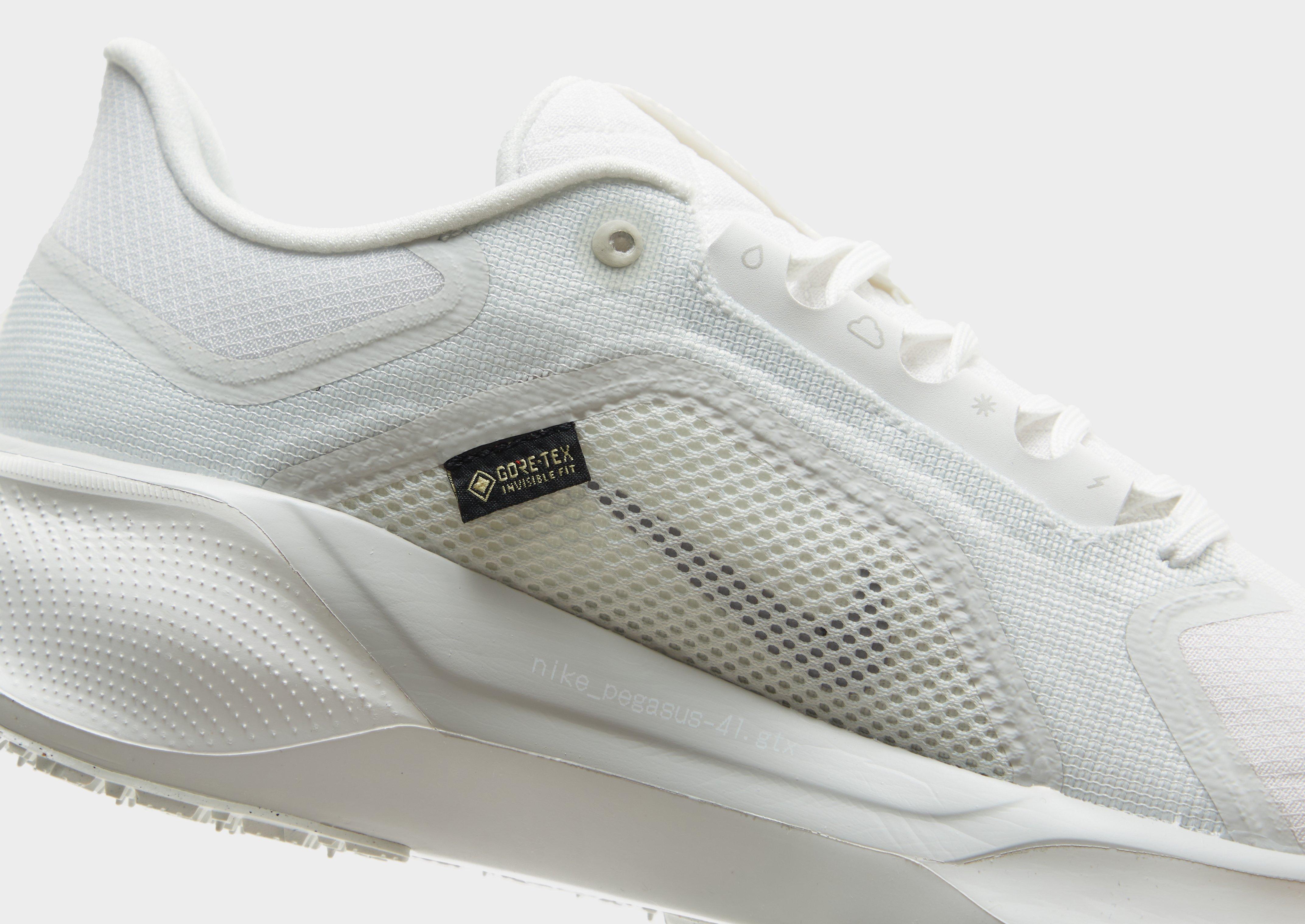 Nike Pegasus 41 GORE-TEX Homme