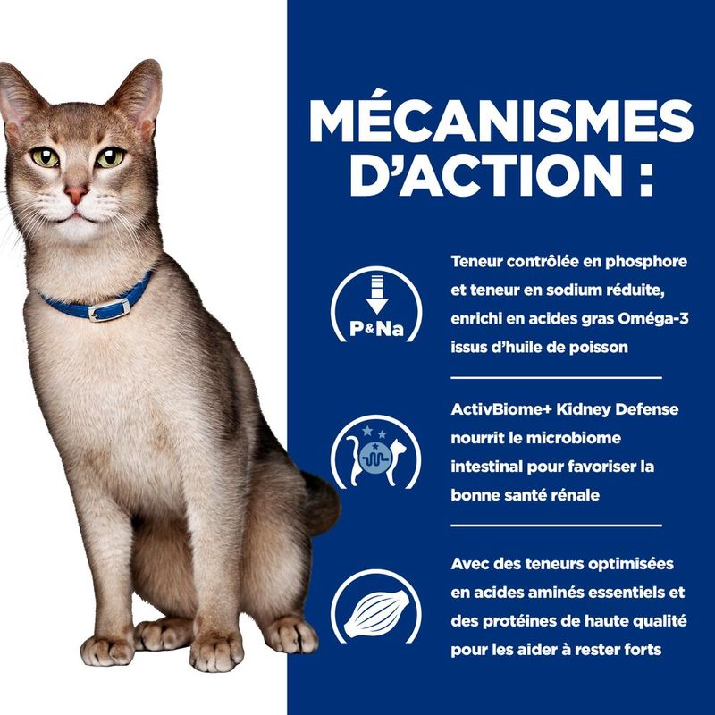 Hill's Prescription Diet Feline k/d Kidney Care à prix discount sur bitiba.fr