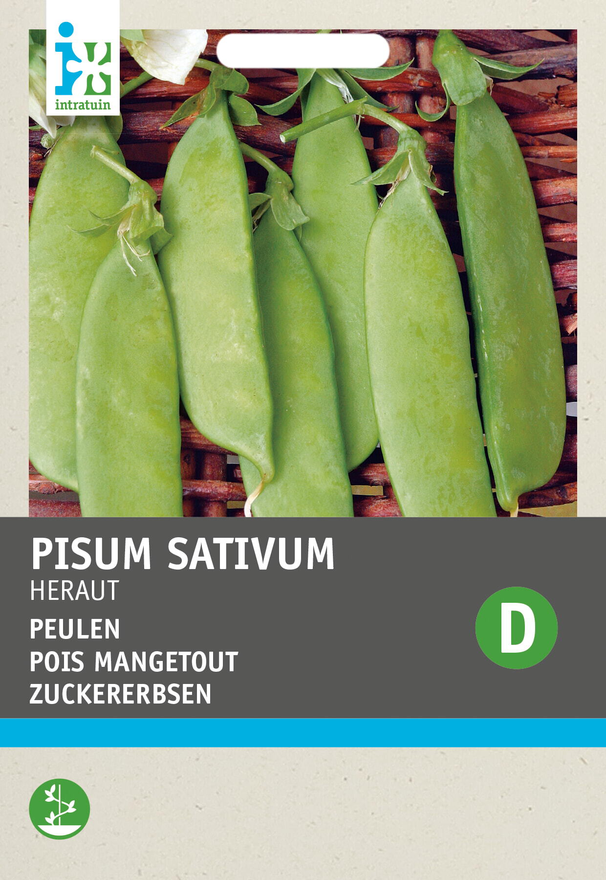 Intratuin groentezaad Peulen (Pisum sativum 'Heraut')