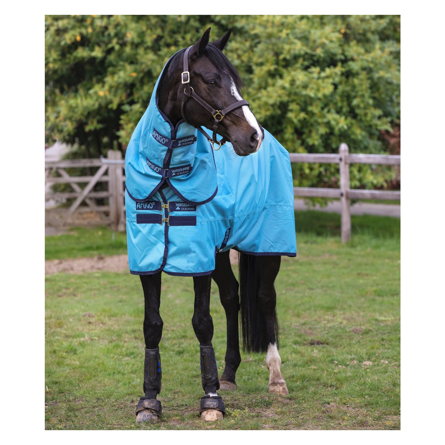 HORSEWARE Halsteil AMIGO Hero Ripstop - delphinium/blue & navy