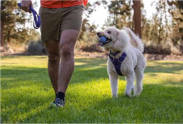 RUFFWEAR® Hundespielzeug TURNUP™, ca.