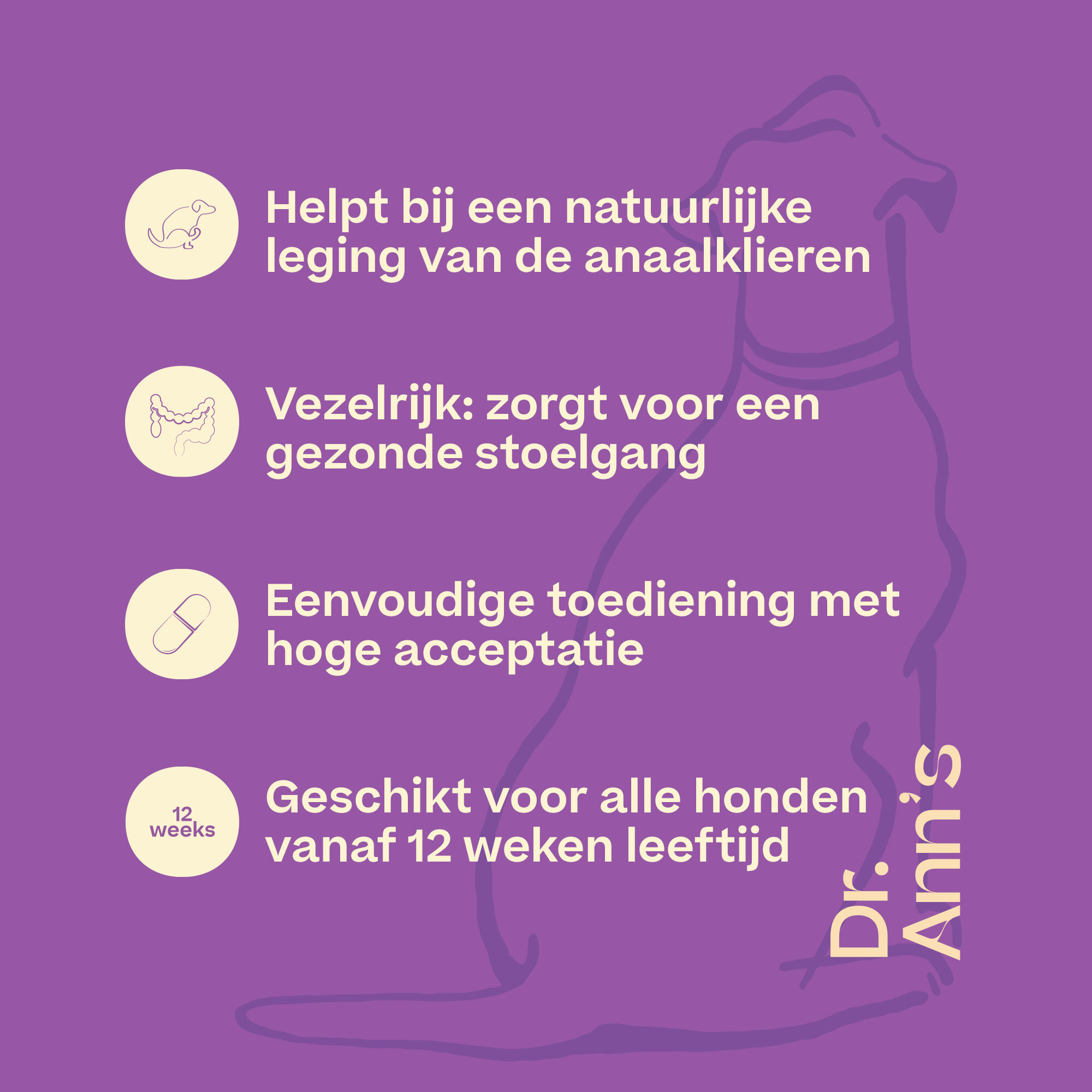 Dr. Ann's Anal Gland Support