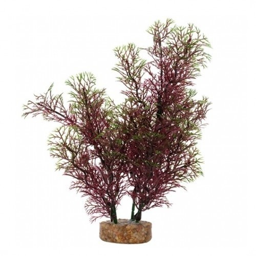 Planta artificial rabo-de-raposa 20 cm marrom