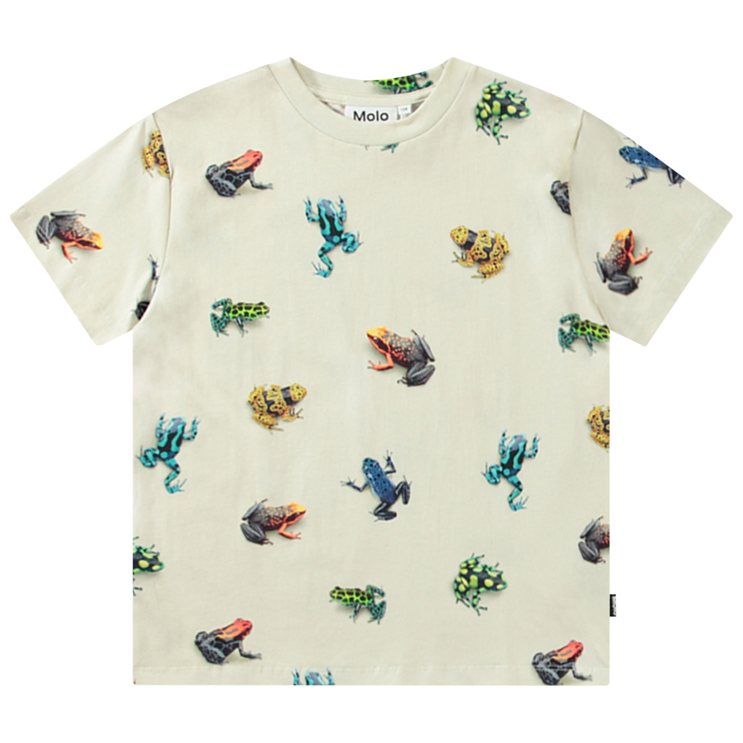 Roxo - Vibrant Frogs