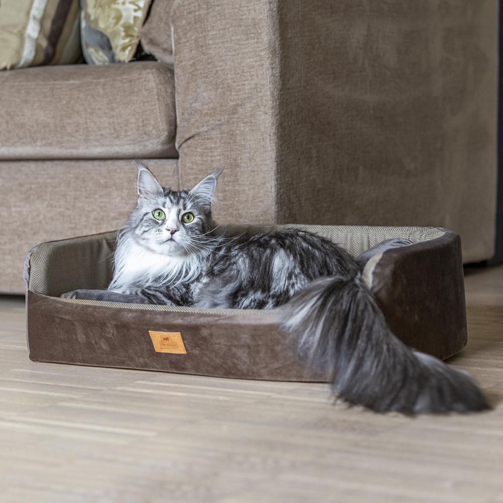 Couchage rembourré lit pour chiens et chats harris 65 lavable, avec coussin, tweed et velours, beige