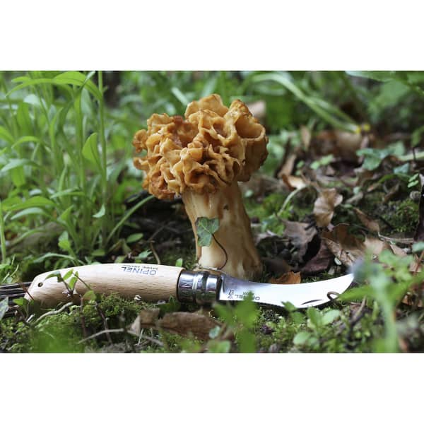 Couteau randonnée OPINEL N°08 CHAMPIGNON HETRE
