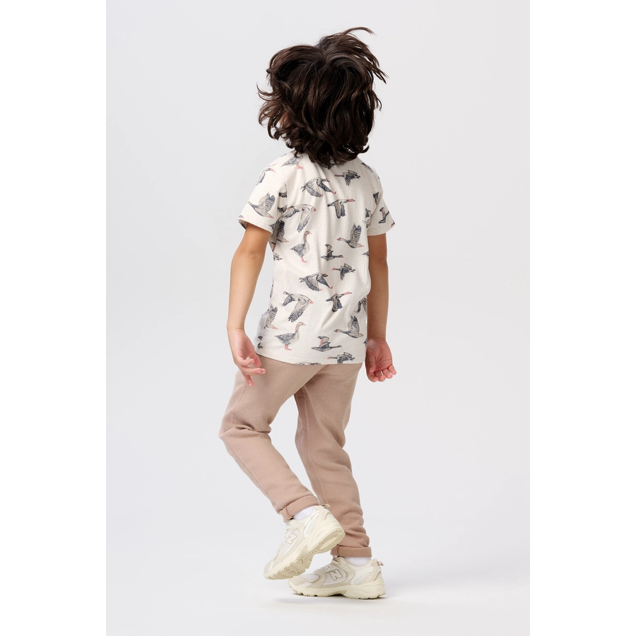 Noppies T-shirt Dierks Oatmeal