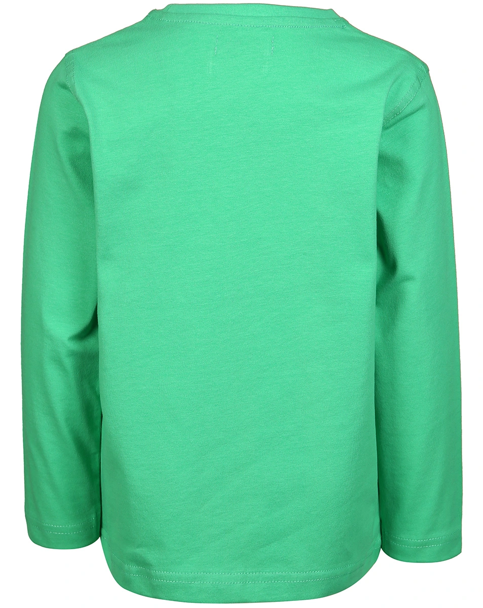 Langarmshirt FREITAG in grün