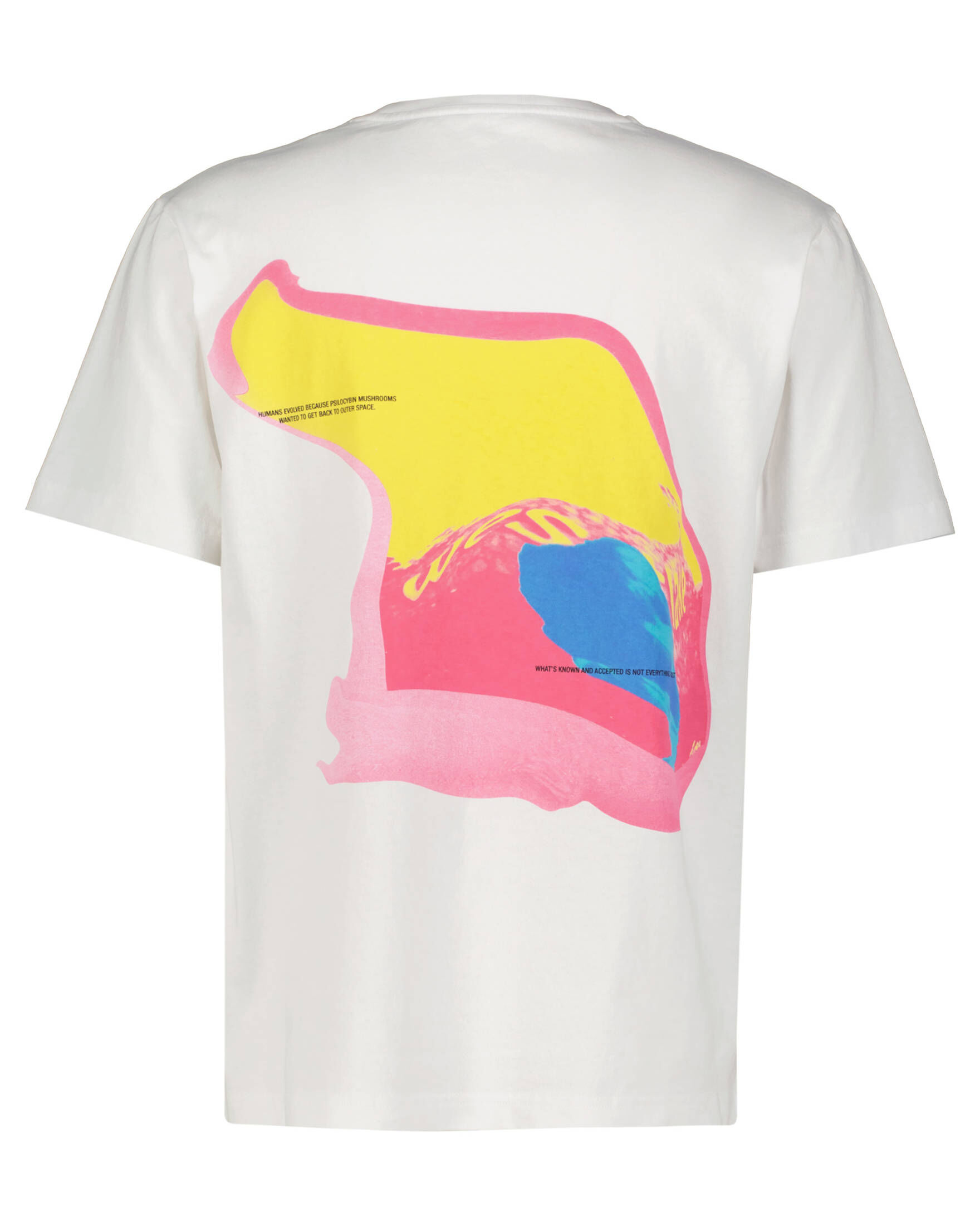 MSFTSrep| Herren T-Shirt REGULAR FIT