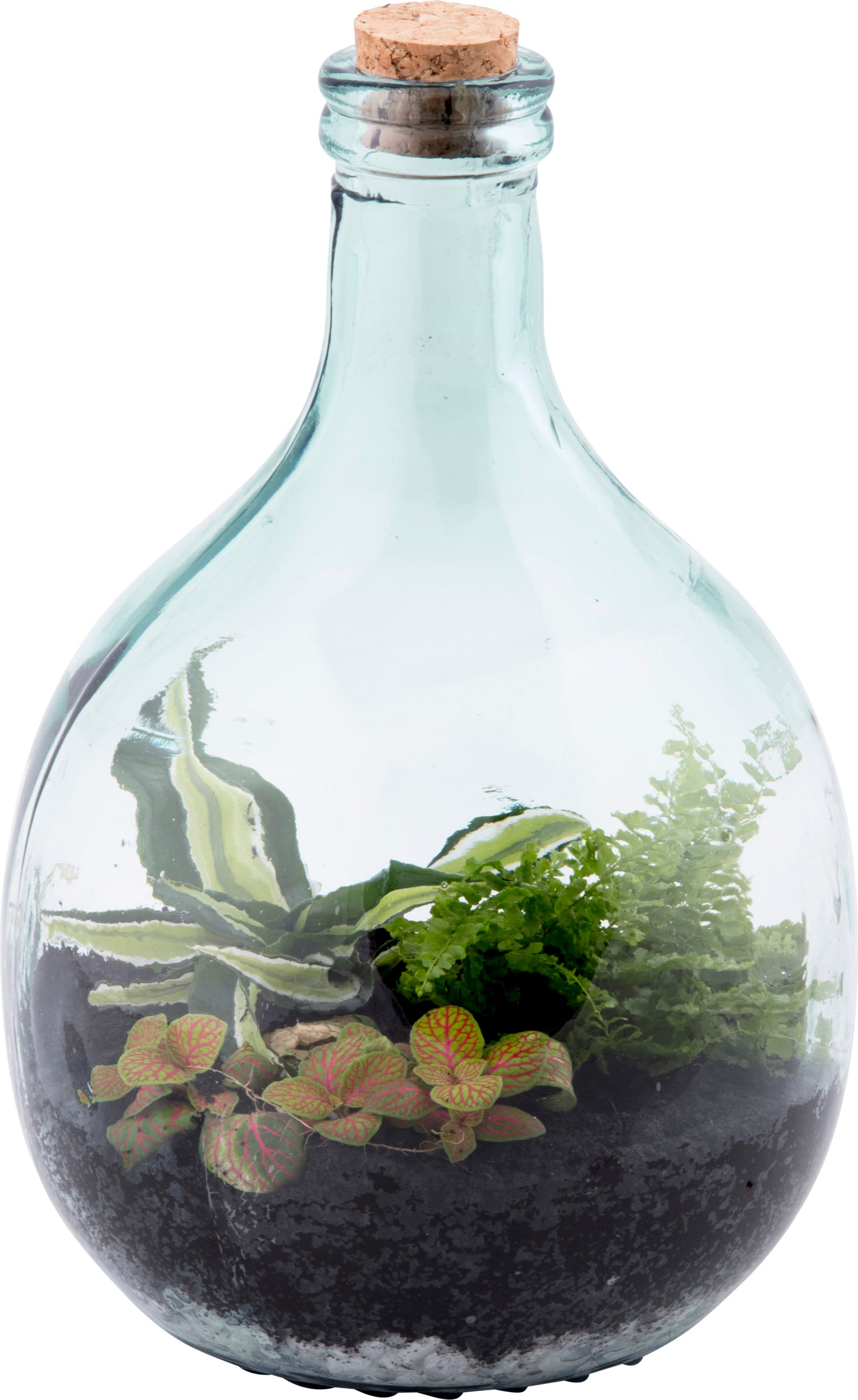 Esschert Design terrarium 5 L
