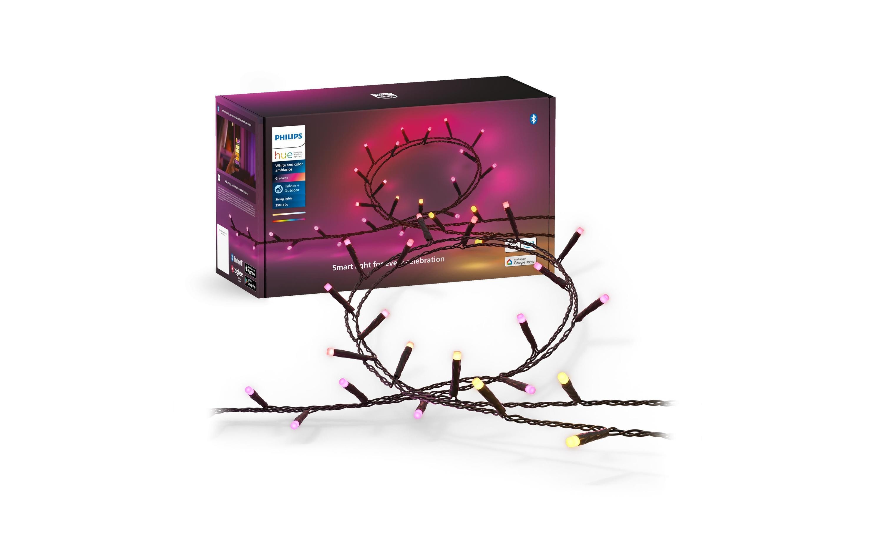 Festavia Lichterkette 20 m 250 LEDs CH<br>Smarte Weihnachtsbeleuchtung für den Innen- und Aussenbereich