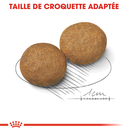 Croquettes chien de taille moyenne Medium Adult 4kg