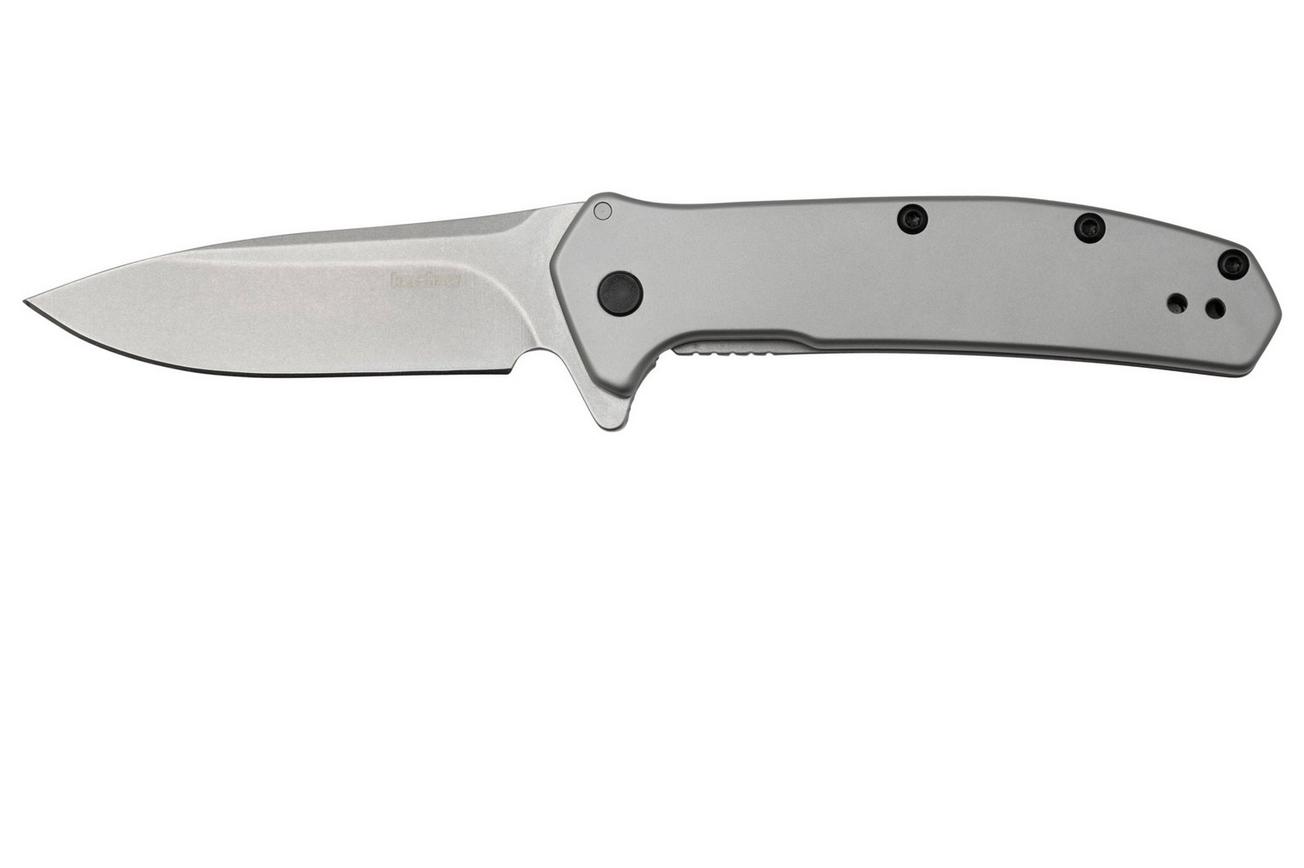 Kershaw Outcome 2044 Assisted Flipper Stainless Steel zakmes