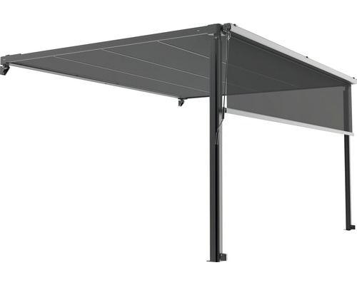 Verticale zonwering, lichtdoorlatend, frame RAL 9011 grafietzwart, geschikt voor pergolazonwering 2,94 x 3,94