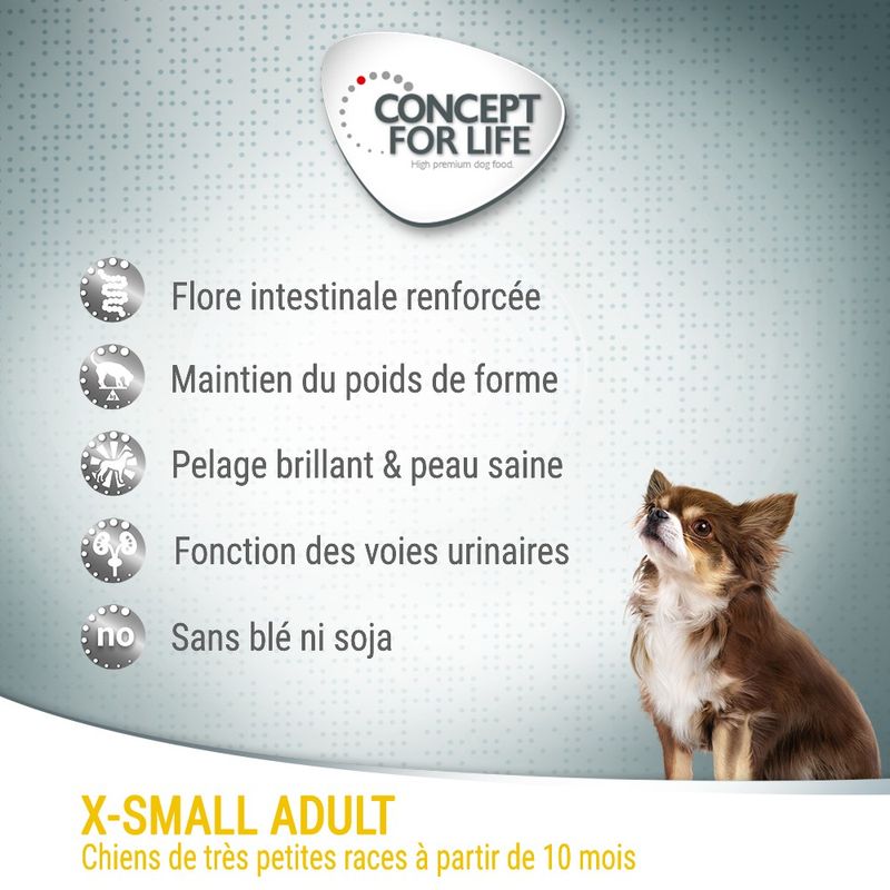 Concept for Life X-Small Adult