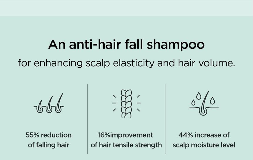 AMOS PROFESSIONAL - Groene Thee Actieve Shampoo