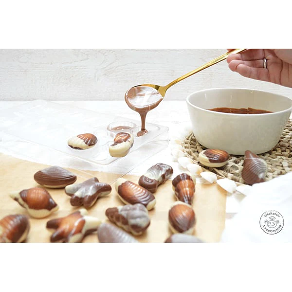 Kit chocolats de Pâques : casserole bain marie + thermosonde + moule p