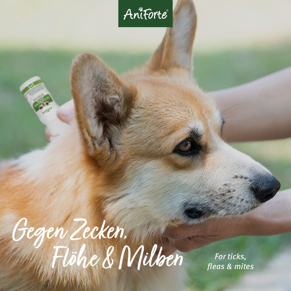 AniForte Spot-on für Hunde Ectoprotex