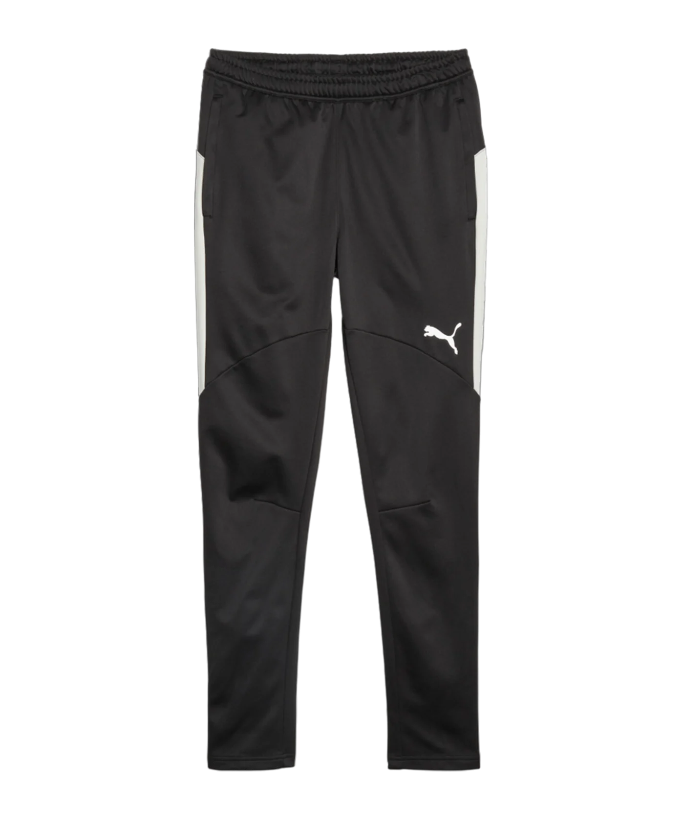 PUMA individual Winterized Trainingshose F03