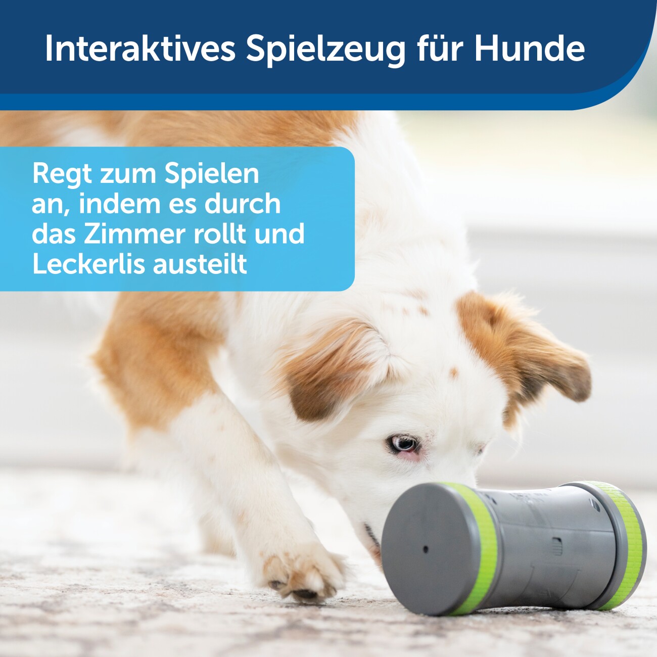 PetSafe Selbstbewegendes Belohnungsspielzeug Kibble Chase