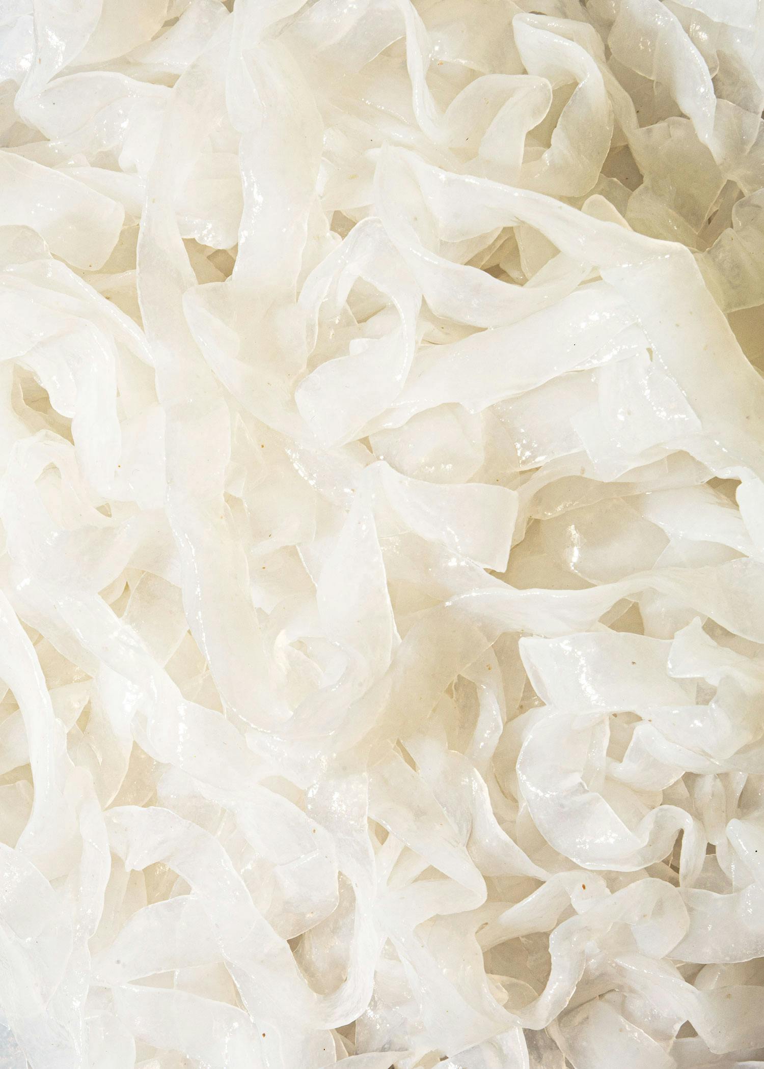 Bio Konjak Fettuccine in Wasser 1 kg