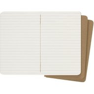 MOLESKINE Cahier, P/A6, uni, carton