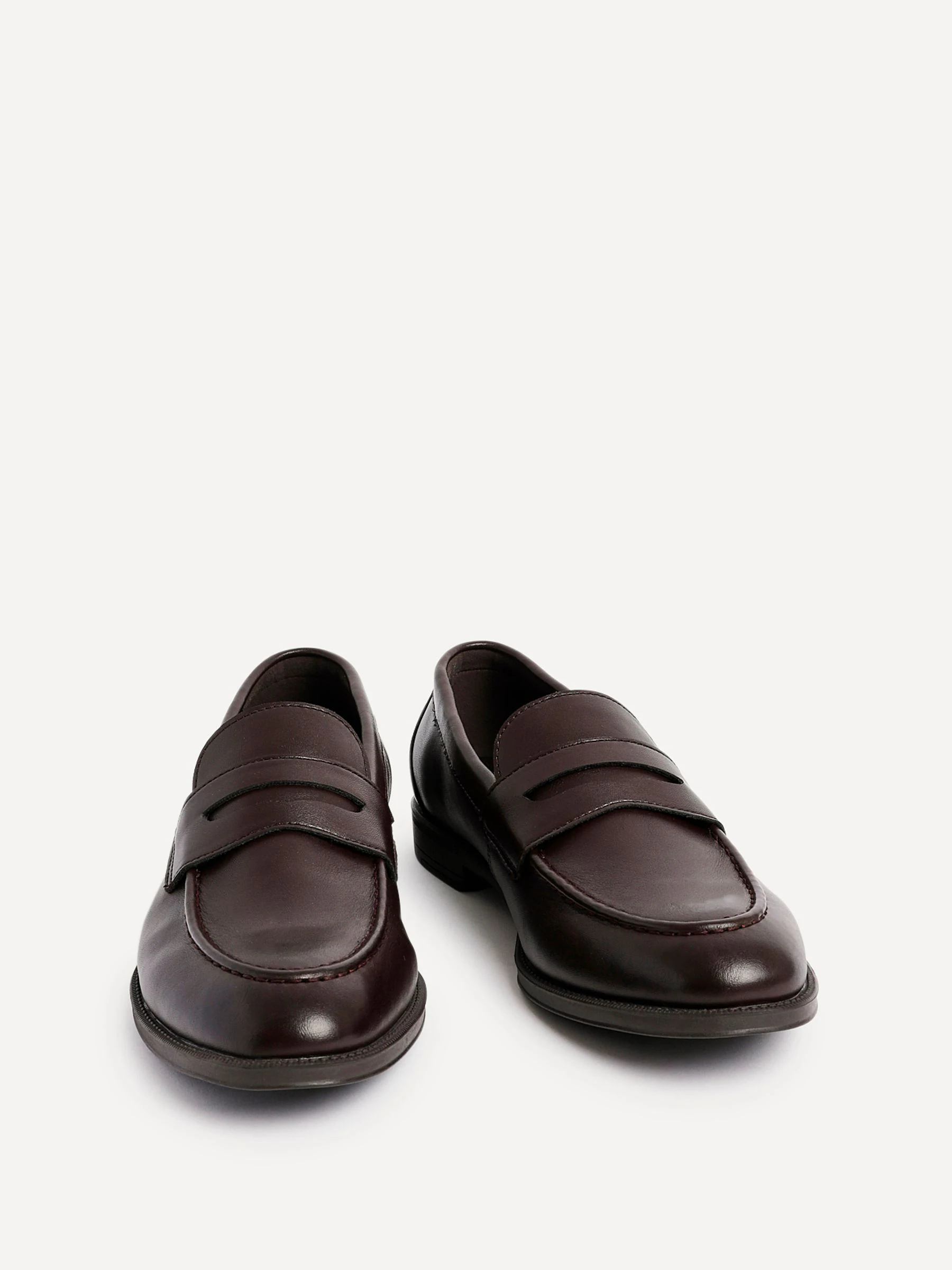 Bruin - Linzi Aurelio Penny Loafers