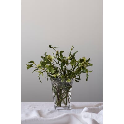 Vase Københavner