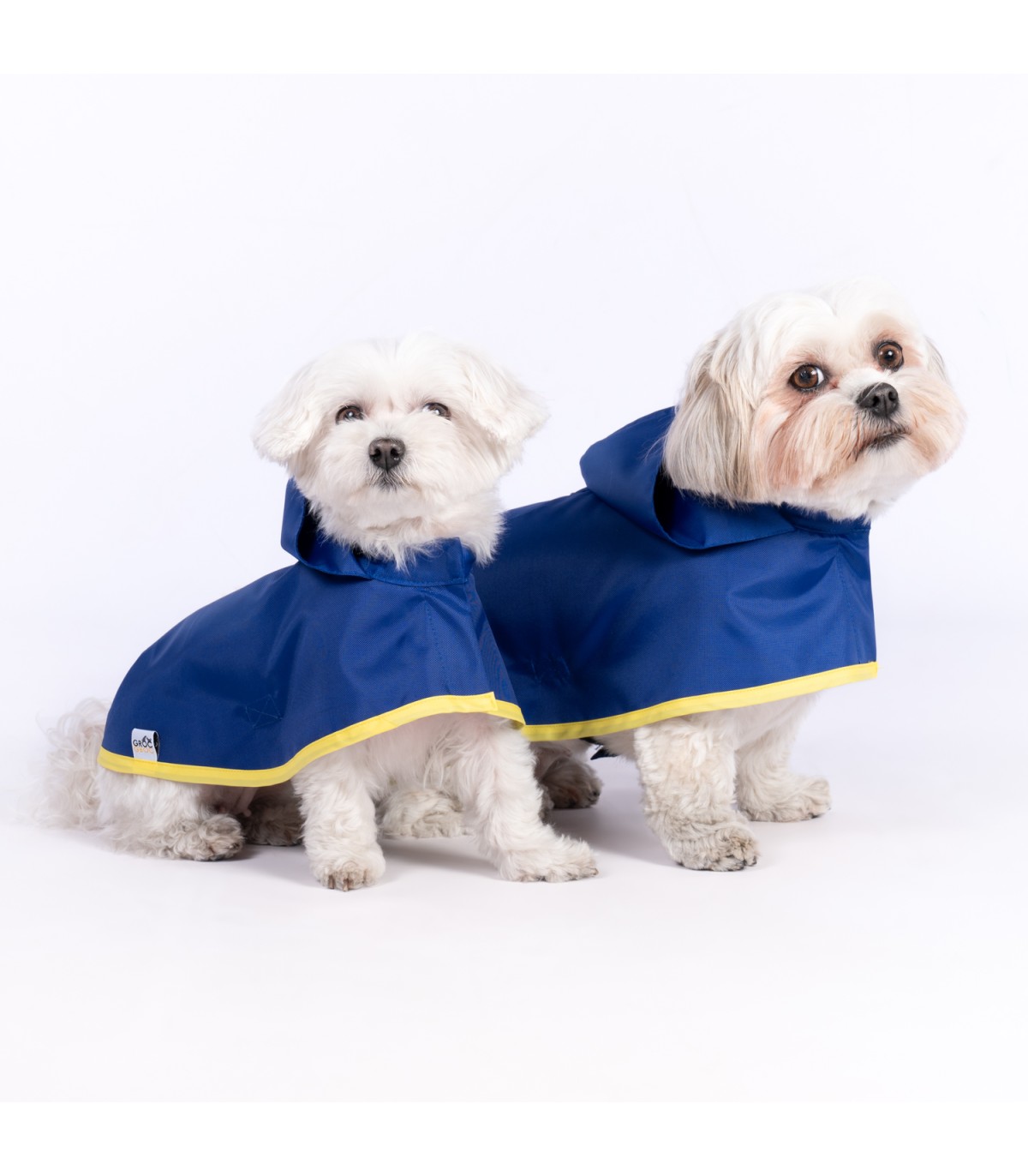 Capa de chuva azul brilhante para cães Groc Groc Lola