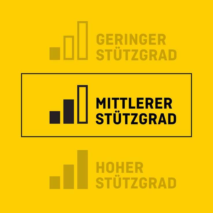Futuro Sport Sprunggelenkbandage alle Größen, 1 St