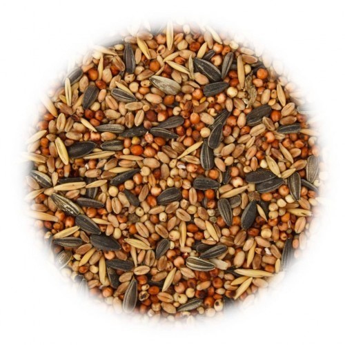 Alimento para pássaros silvestres, sabor natural