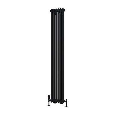 Eastbrook Rivassa 2 koloms radiator 30x180cm staal 933W zwart mat