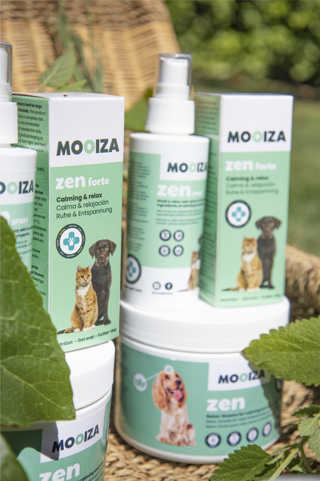 MOOIZA zen forte