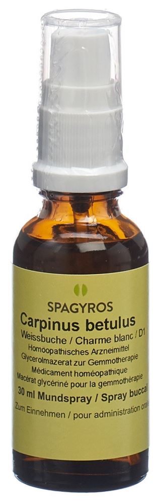 Spagyros Carpinus betulus Glyc Maz 1 D Spr 30 ml