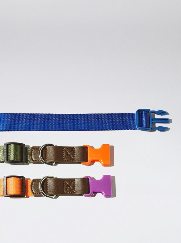 Coleira personalizável para cães - Azul
