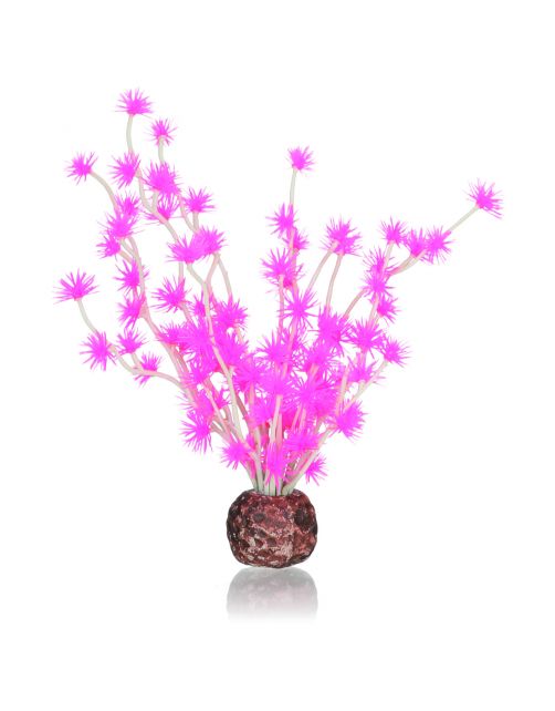 Biorb Bonsai Bal Roze - Aquarium - Ornament -