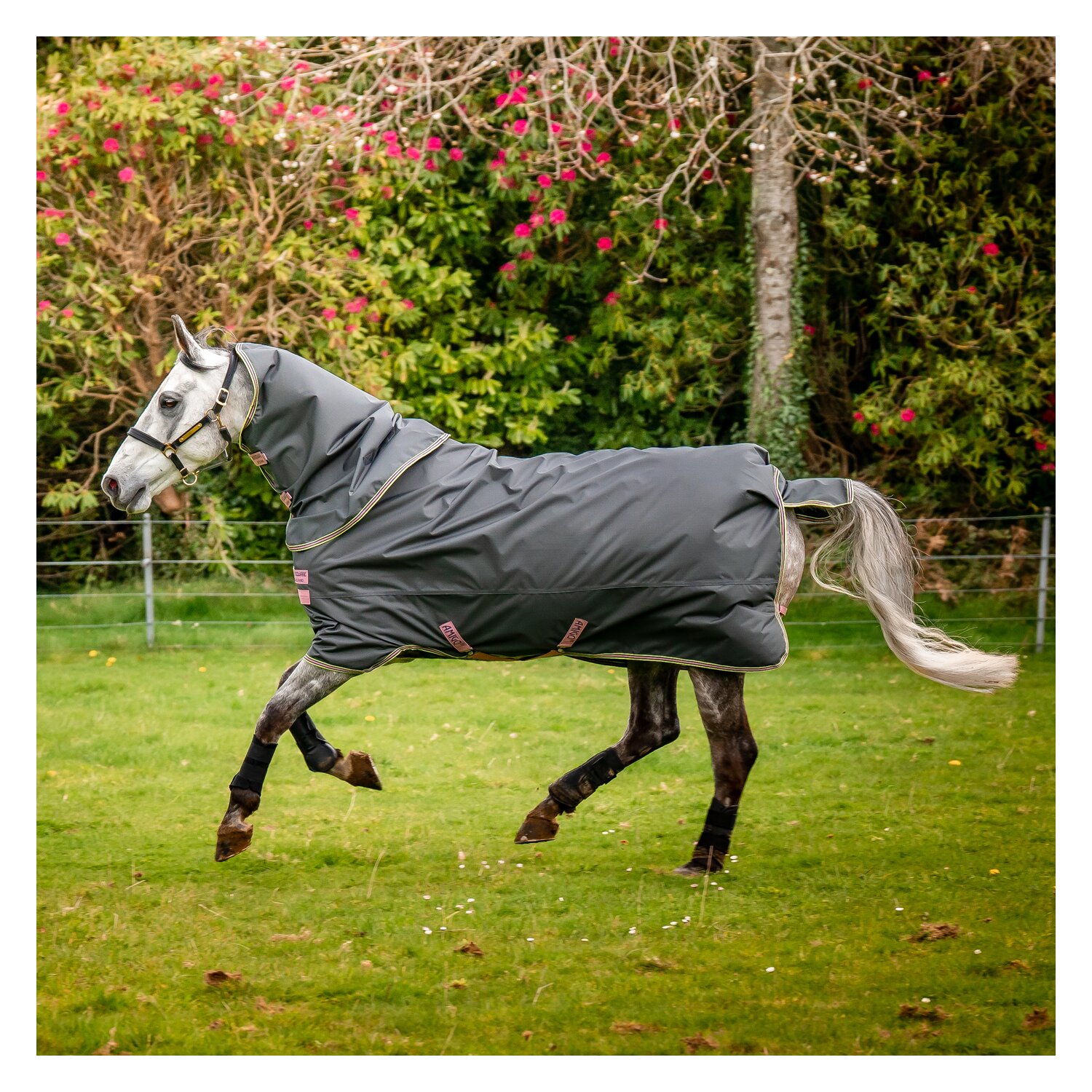 HORSEWARE Outdoordecke Amigo Hero Ripstop Plus Lite - shadow / rose & navy