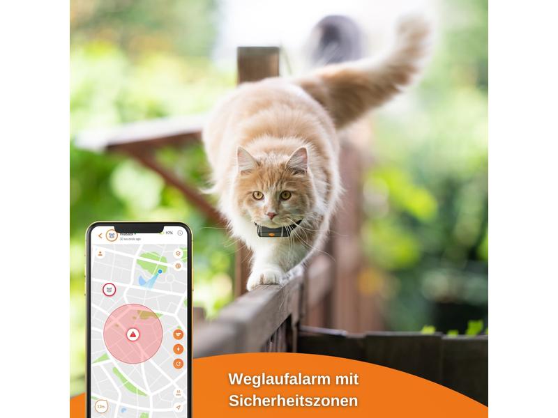 Weenect GPS-Tracker XS für Katzen, Schwarz Der kleinste GPS-Tracker für Katzen