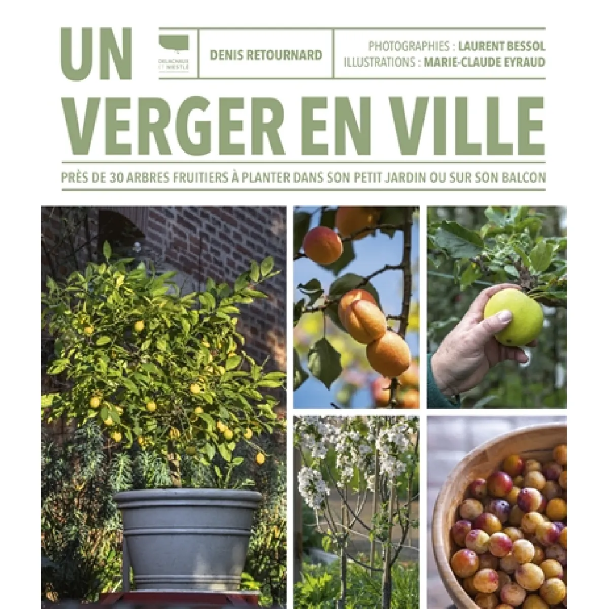 Un verger en ville : près de 30 arbres fruitiers à planter dans son petit jardin ou sur son balcon · Occasion