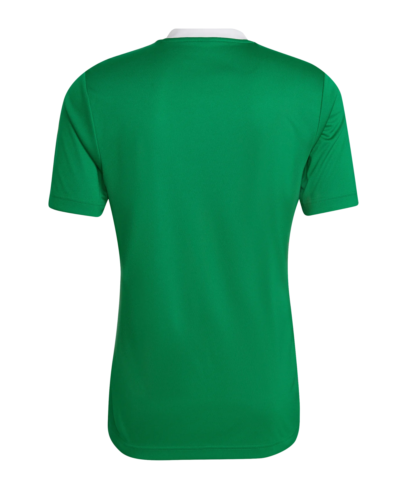 adidas Entrada 22 Trikot Grün