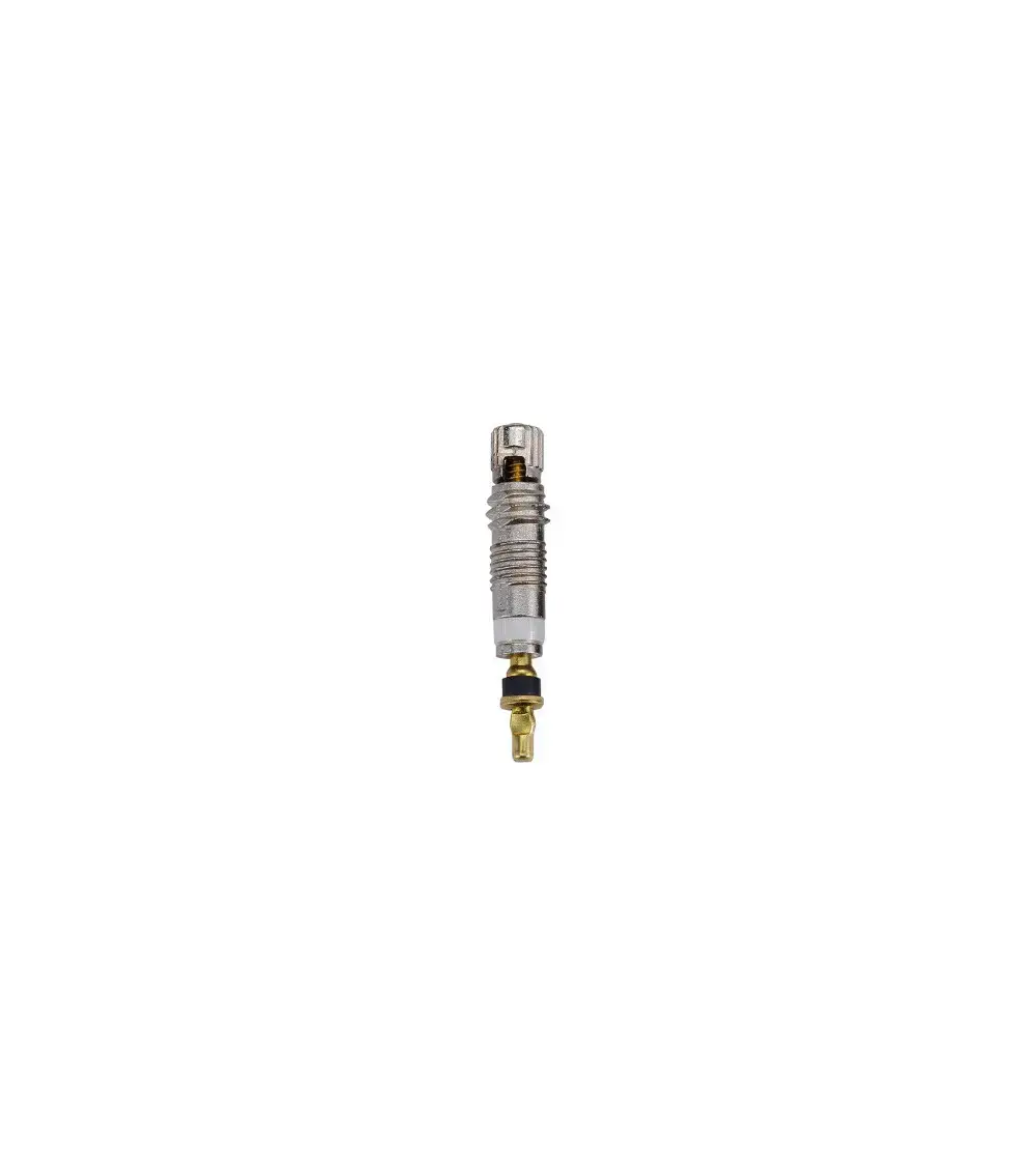BBB Cycling Valvecore BTI-162 Tubeless Ventielkernen 50 Stuks