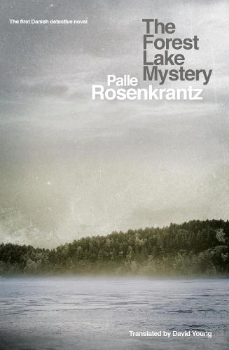The Forest Lake Mystery (Paperback)